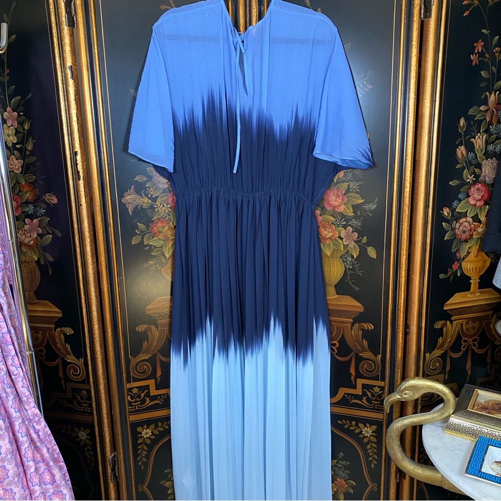 Banana Republic Chiffon Pleated Maxi Dress - Picture 5 of 9